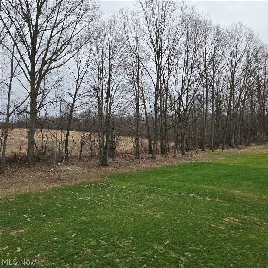 15229 Timber Ridge Drive Middlefield, OH 44062 - Photo 5 of 30 REAR YARD