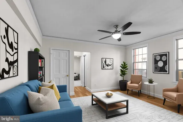 a living room with furniture and a potted plant