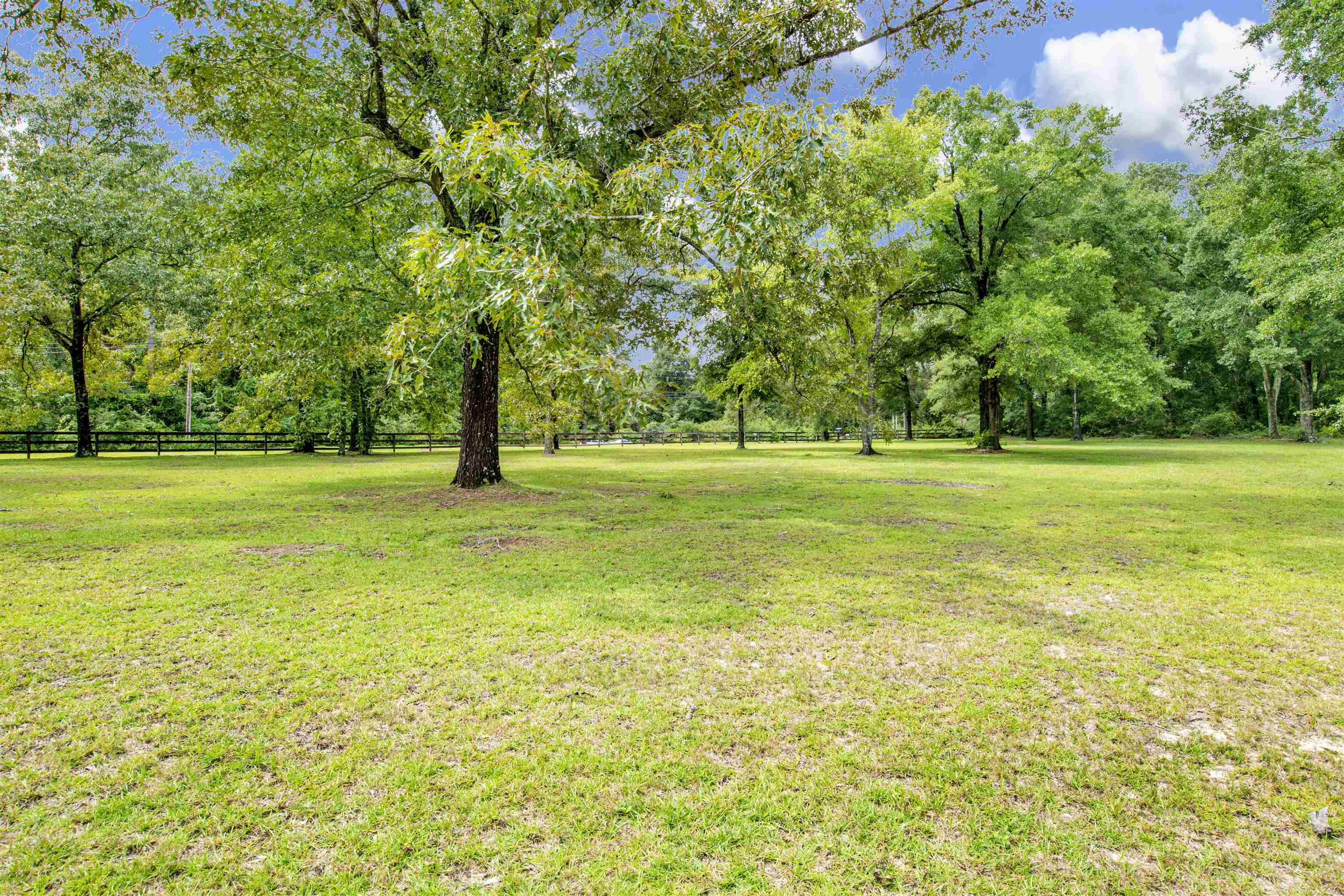 31330 Buzbee Road Daphne, AL 36527 - Photo 52 of 61 Horse Fencing
