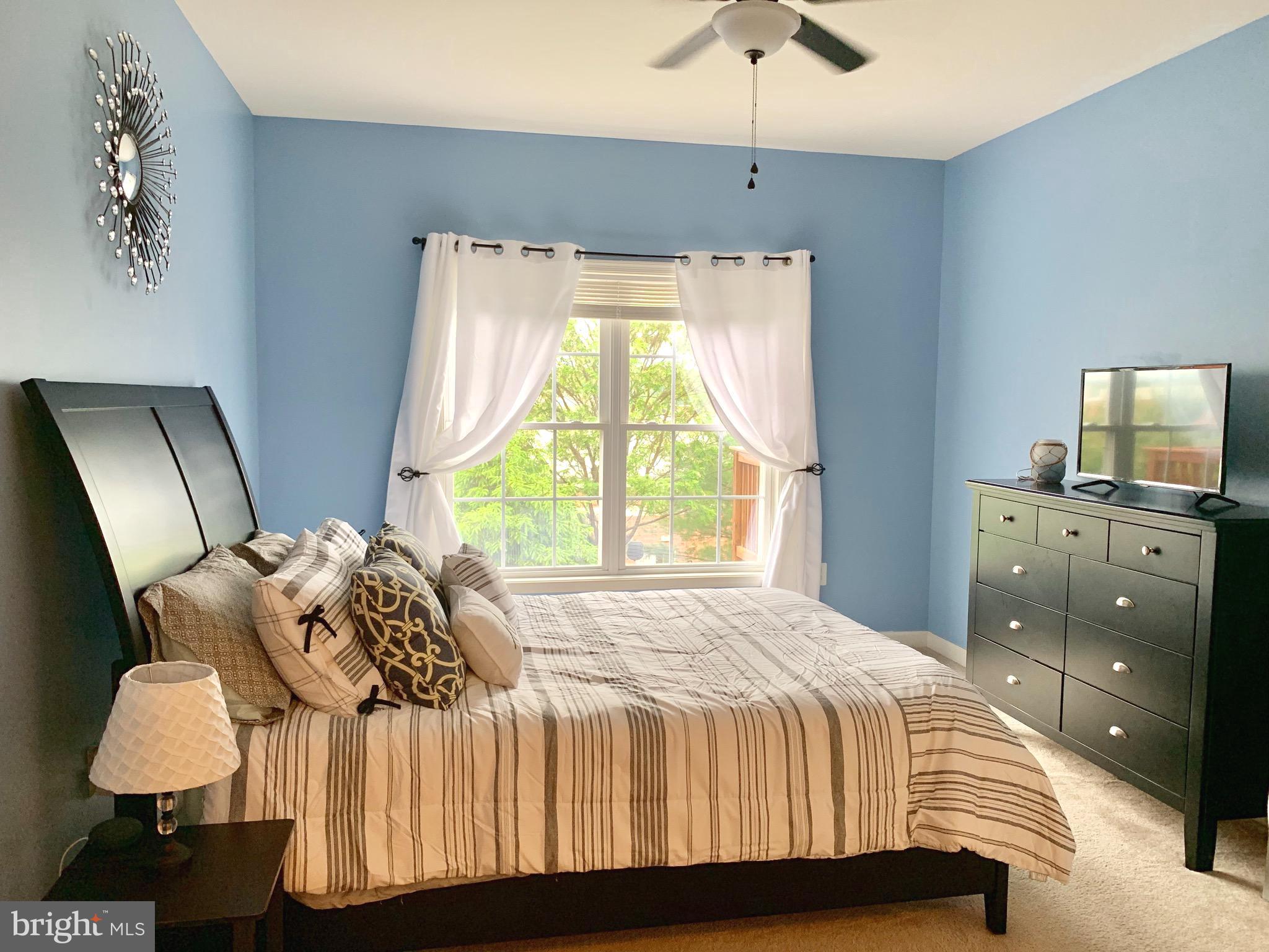 226 West Ridge Court Warrenton, VA 20186 - Photo 14 of 43 15x12 1st floor master bedroom w/ceiling fan