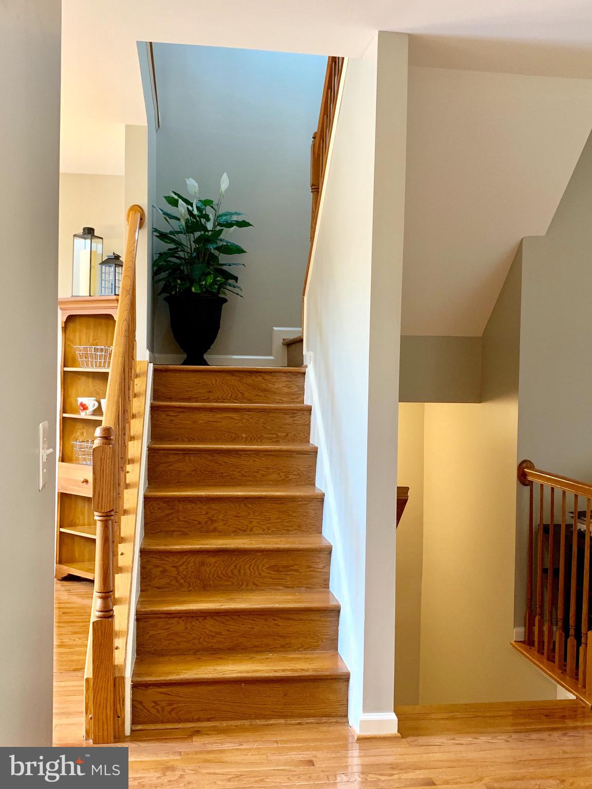 226 West Ridge Court Warrenton, VA 20186 - Photo 24 of 43 Hardwood stair case leading upstairs