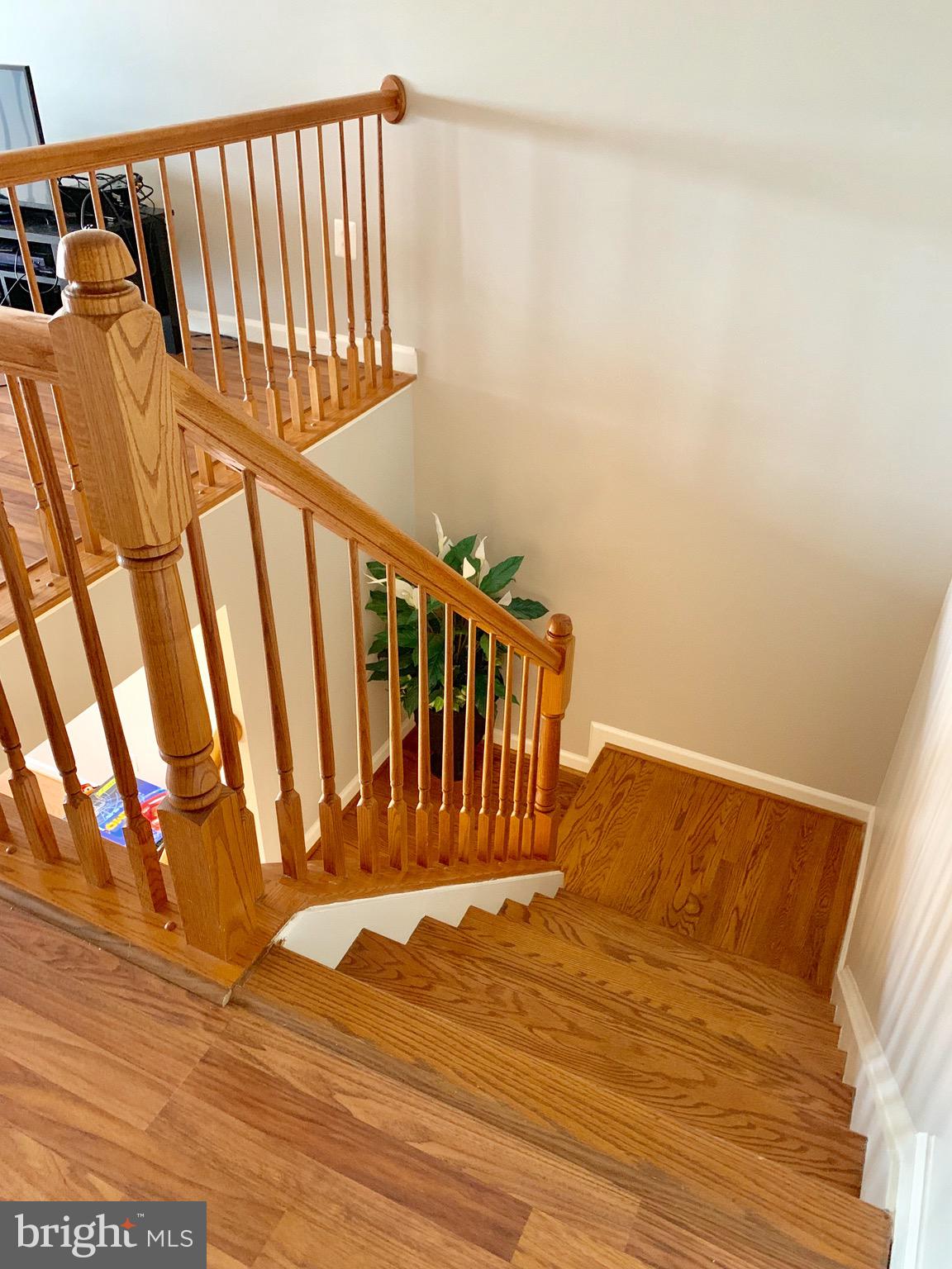 226 West Ridge Court Warrenton, VA 20186 - Photo 25 of 43 Hardwood in staircase