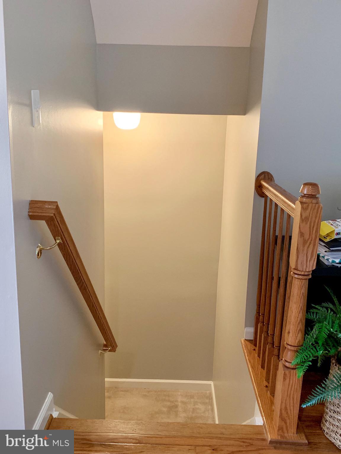 226 West Ridge Court Warrenton, VA 20186 - Photo 35 of 43 Stairs leading to basement