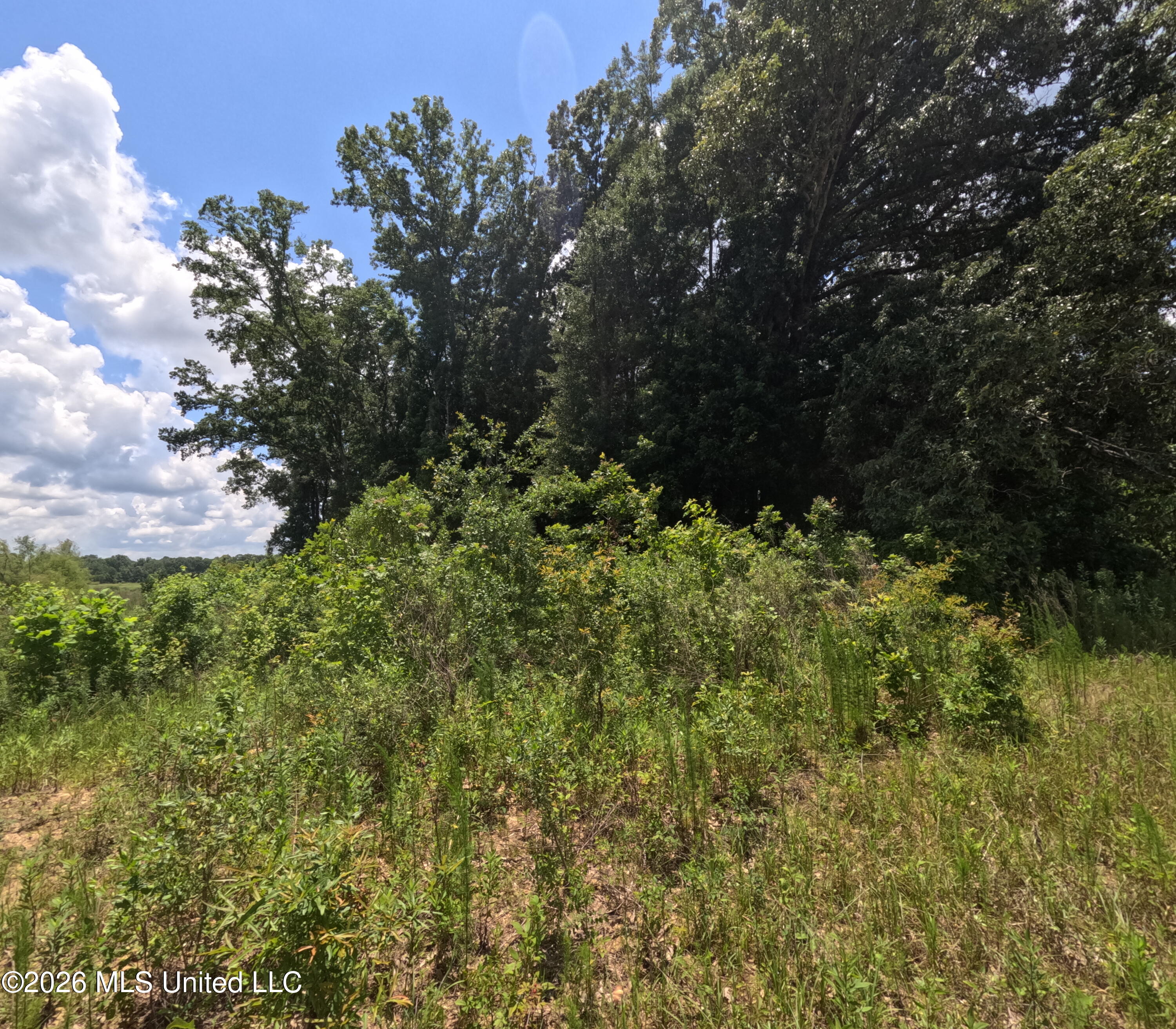 Old Port Edwards, MS 39066 - Photo 16 of 65 GOPR2268