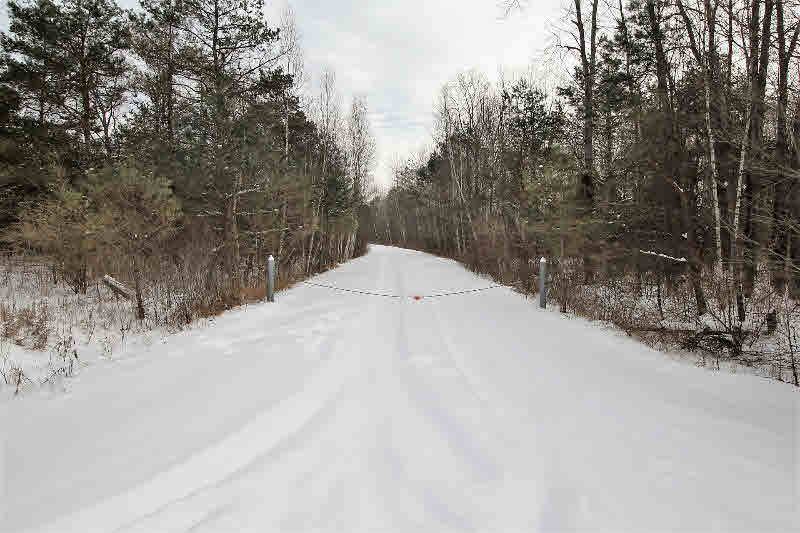 1731 Wieman Road Beaverton, MI 48612 - Photo 8 of 48