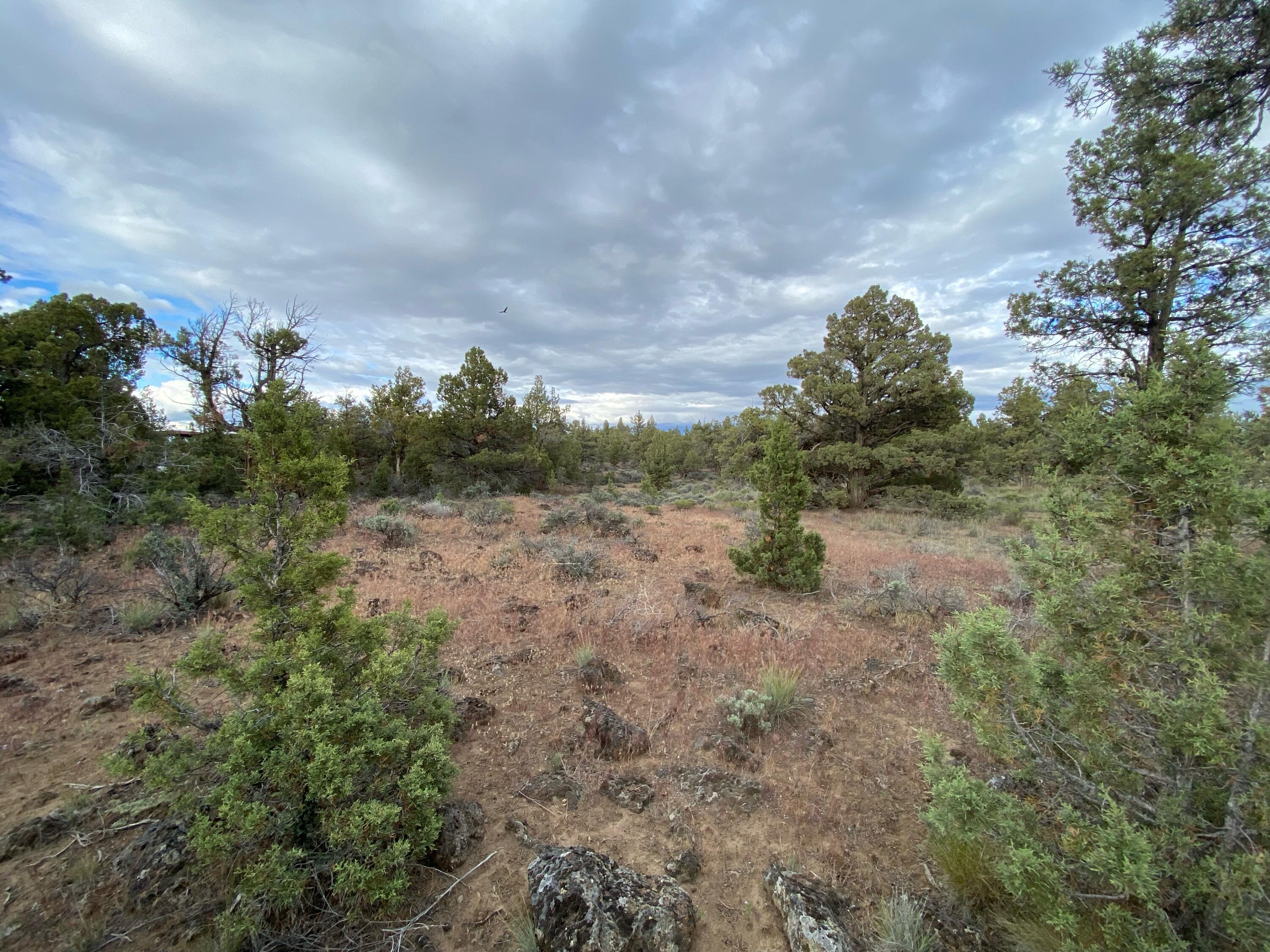 62324 Byram Road Bend, OR 97701 - Photo 11 of 20 62324 BYRAM RD