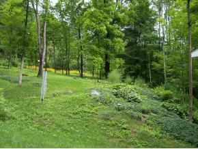 2282 Stage Road Guilford, VT 05301 - Photo 5 of 11