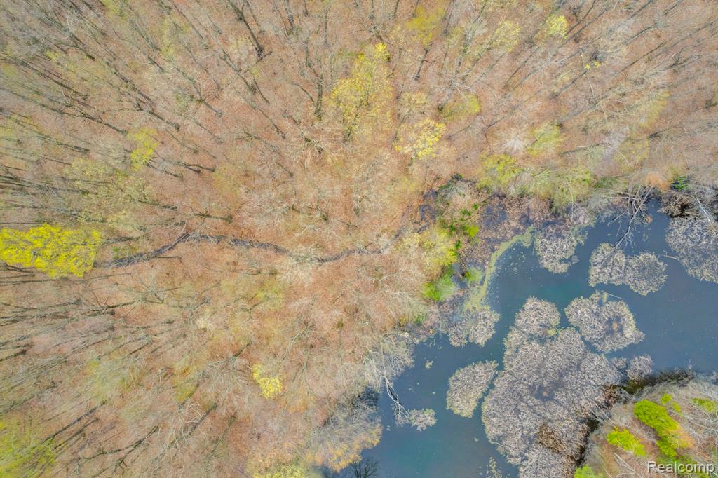 0 Hagerman Road Leonard, MI 48367 - Photo 13 of 13