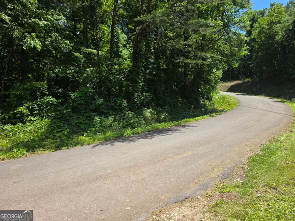 $152,000 | 0 Cowart Mountain Tract 1 Road, Jasper, GA 30143
