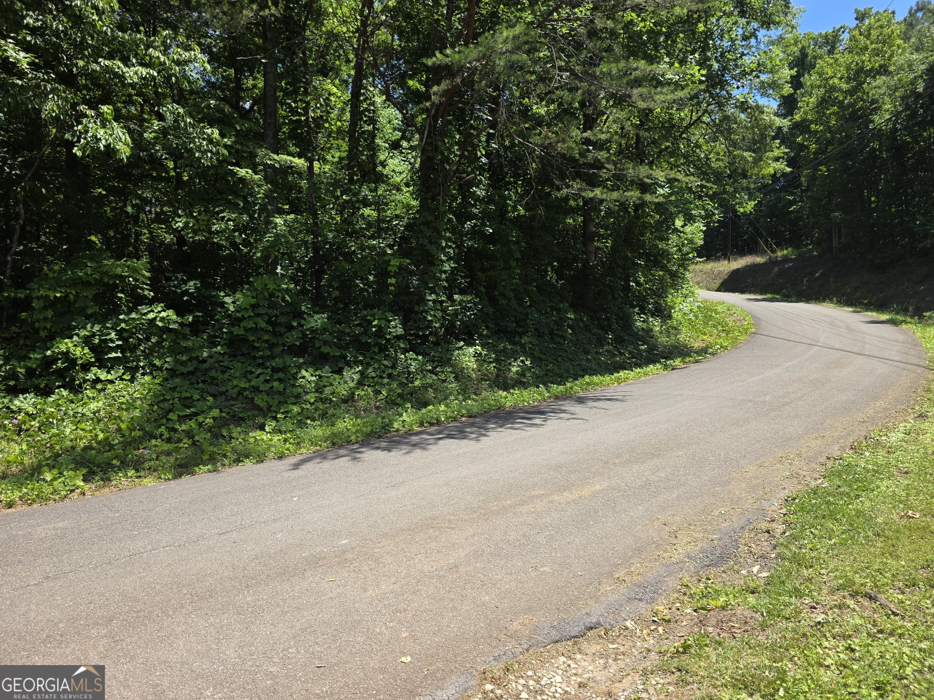 0 Cowart Mountain Tract 1 Road Jasper, GA 30143 - Photo 1 of 13