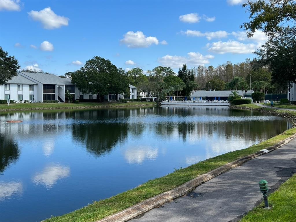 1127 Pine Ridge Circle West, Unit B1 Tarpon Springs, FL 34688 - Photo 1 of 1