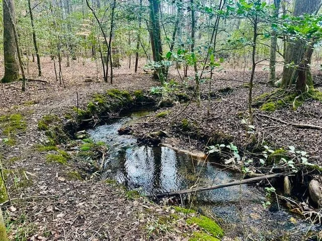 a view of backyard with green space