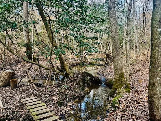 a view of a yard with plants and wooden fence