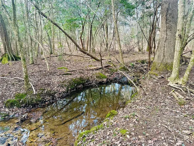 a view of swimming pool with a yard and large trees