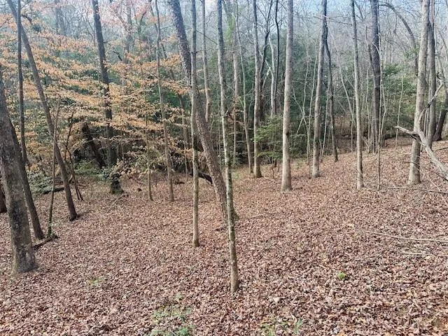 a view of outdoor space with trees