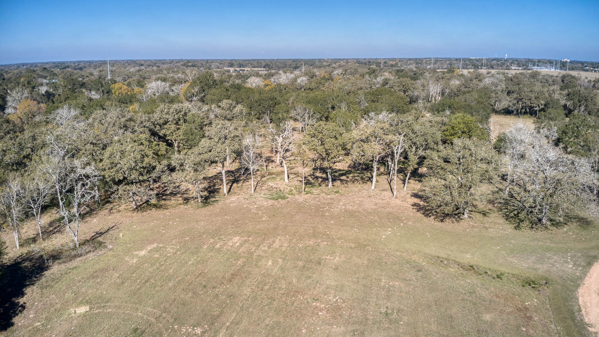 40934 Thomas Lane Hempstead, TX 77445 - Photo 44 of 50