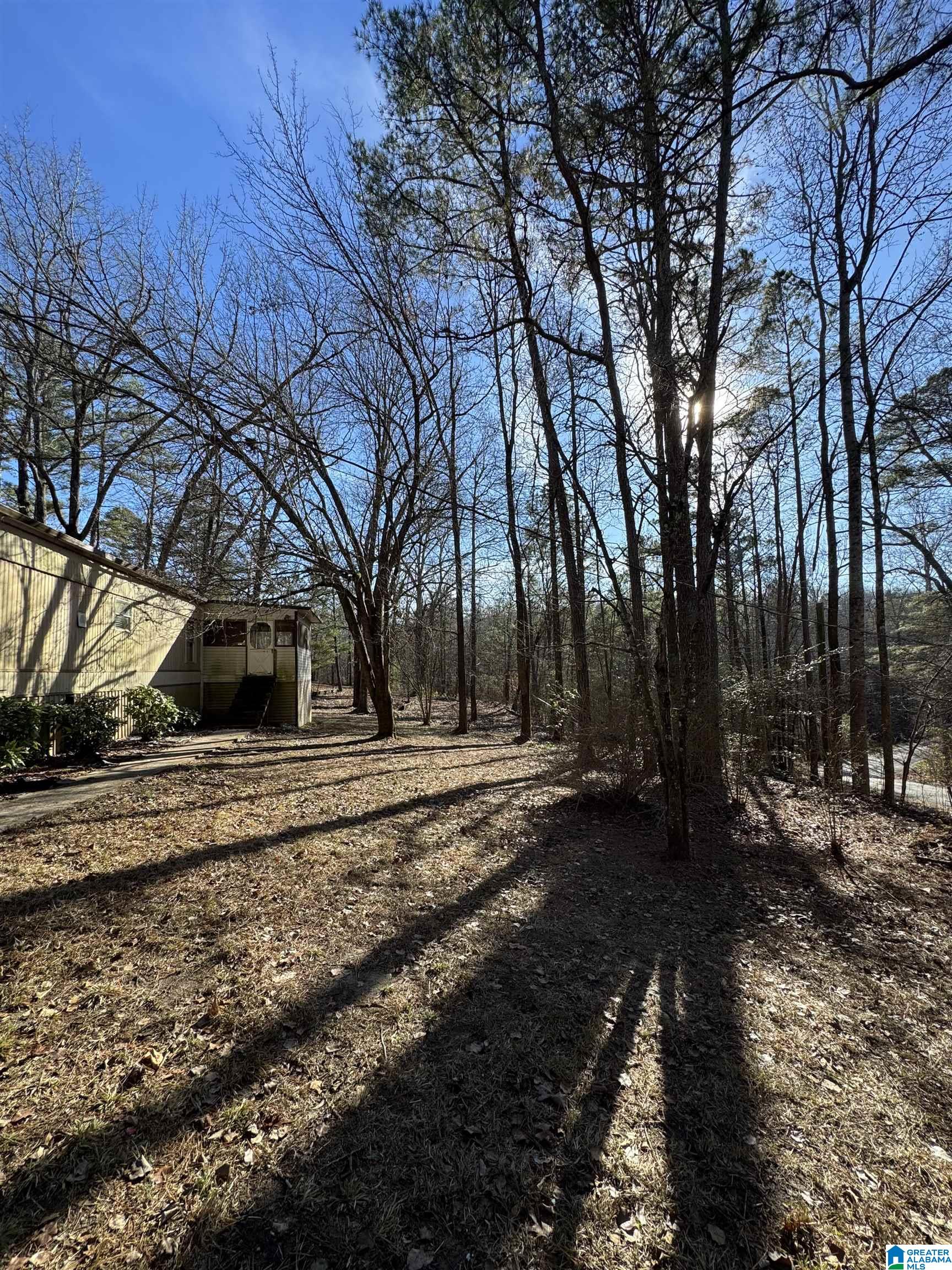 2570 Mt View Road, Unit 13251 Hayden, AL 35079 - Photo 10 of 13