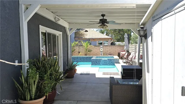 a close up of a plant in a garden