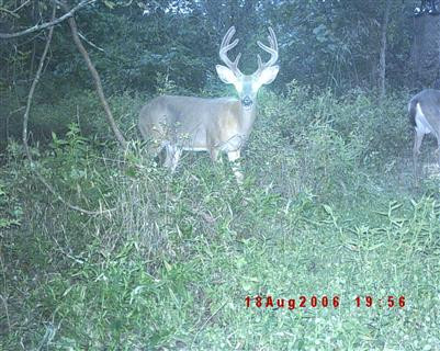 5 Timber Creek Road Lawrenceburg, KY 40342 - Photo 20 of 22 Photo 23