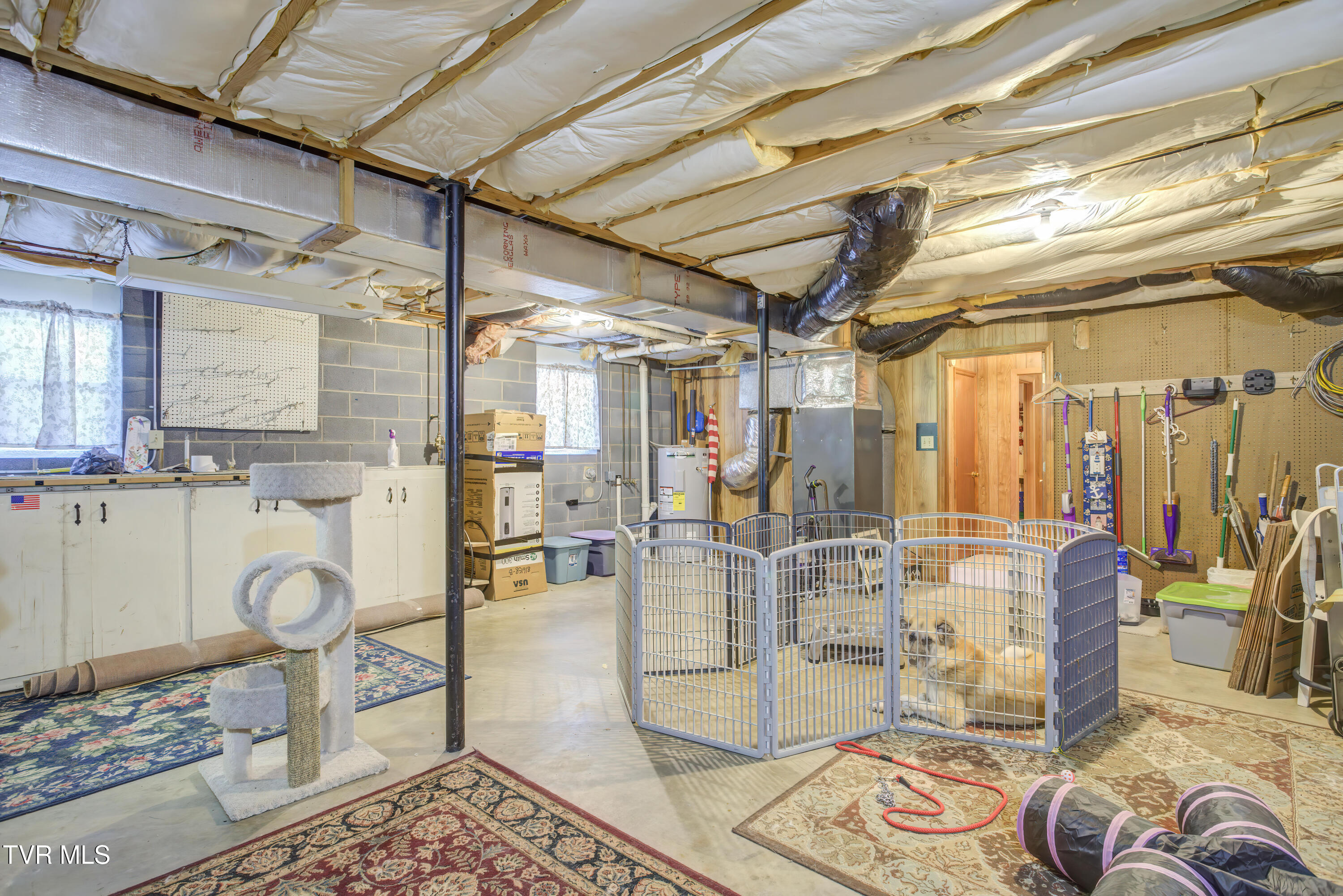 1330 Stone Dam Road Chuckey, TN 37641 - Photo 42 of 50 1330 Stone Dam (44)