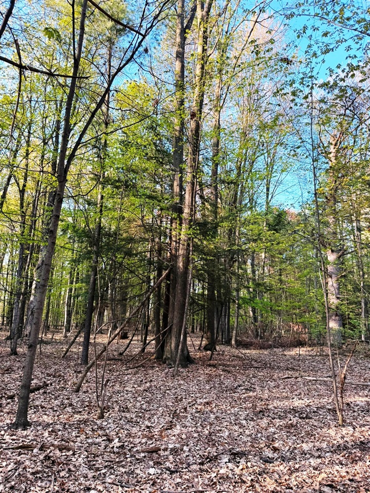 0 West Adams Road Hesperia, MI 49421 - Photo 28 of 74