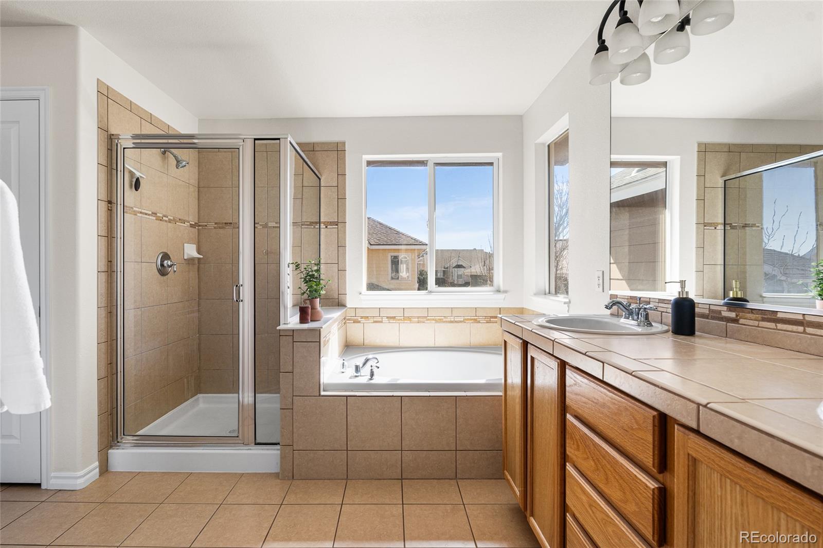 10565 Wildhurst Circle Highlands Ranch, CO 80126 - Photo 10 of 42 Gallery Image 10