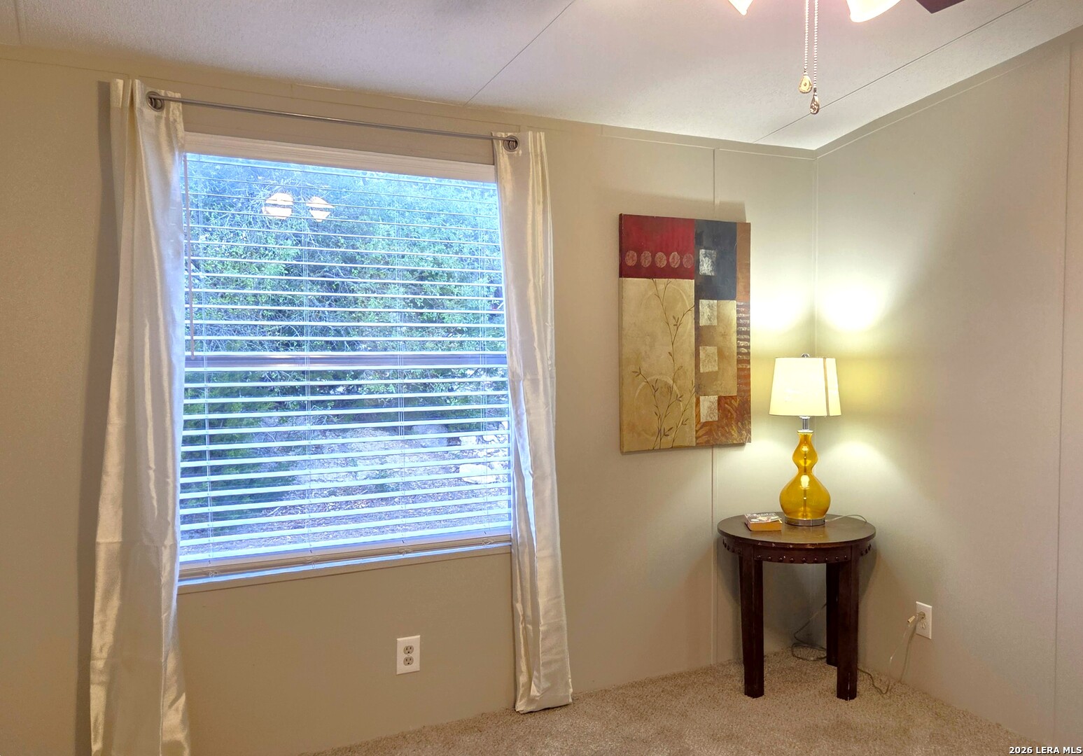 533 Las Hadas Spring Branch, TX 78070 - Photo 13 of 16