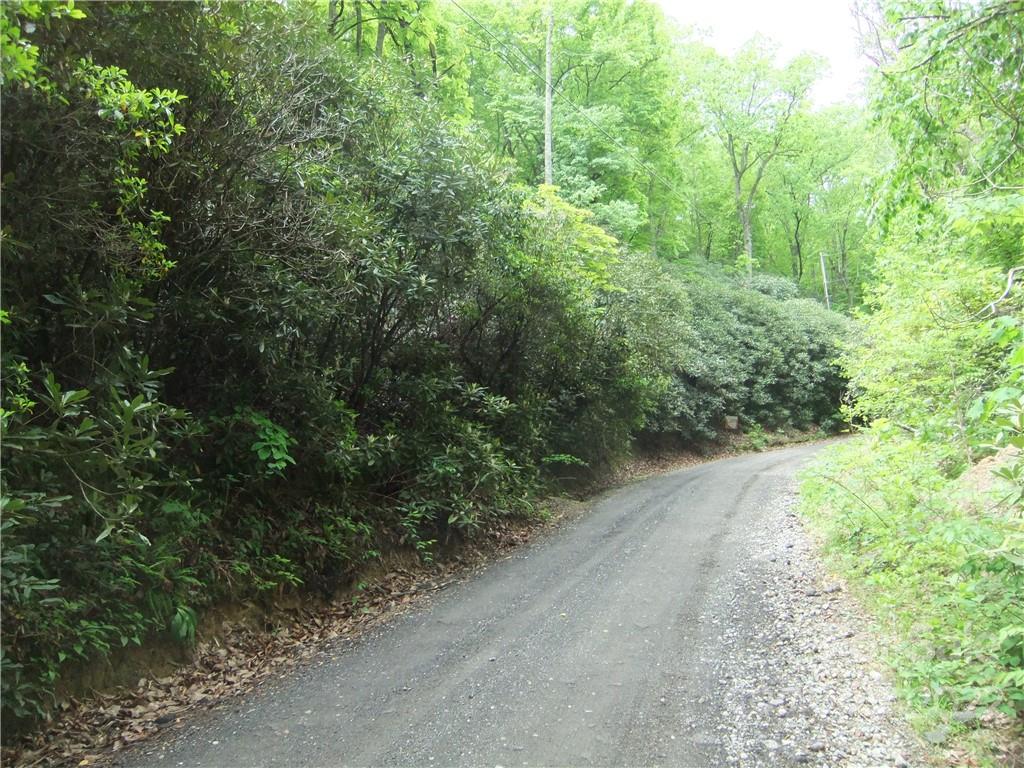 5 Old Mill Road Hendersonville, NC 28792 - Photo 1 of 35 a view of a road with plants and trees