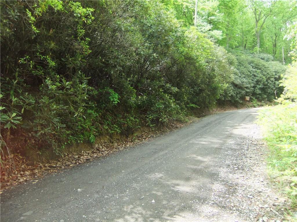 5 Old Mill Road Hendersonville, NC 28792 - Photo 11 of 35 a view of a yard with a tree