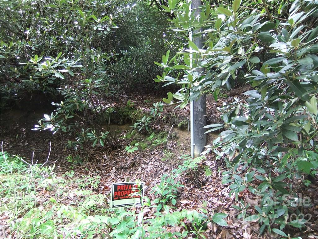 5 Old Mill Road Hendersonville, NC 28792 - Photo 12 of 35 a backyard of a house with lots of green space