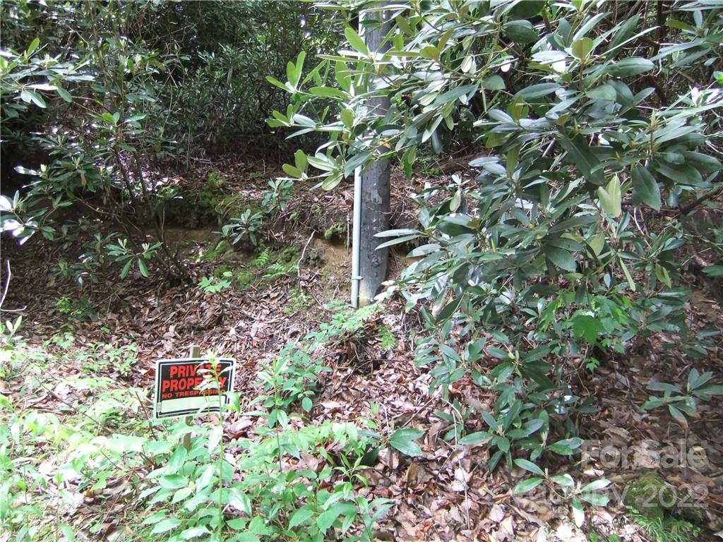 5 Old Mill Road Hendersonville, NC 28792 - Photo 13 of 35 a picture of a tree