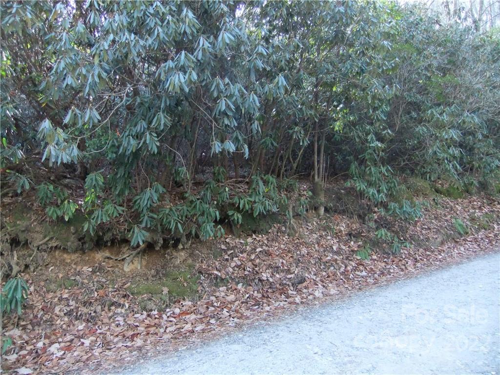5 Old Mill Road Hendersonville, NC 28792 - Photo 14 of 35 a view of a forest with trees in the background