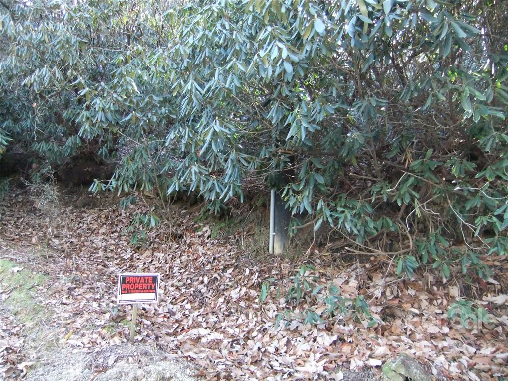 5 Old Mill Road Hendersonville, NC 28792 - Photo 15 of 35 a backyard of a house with lots of green space