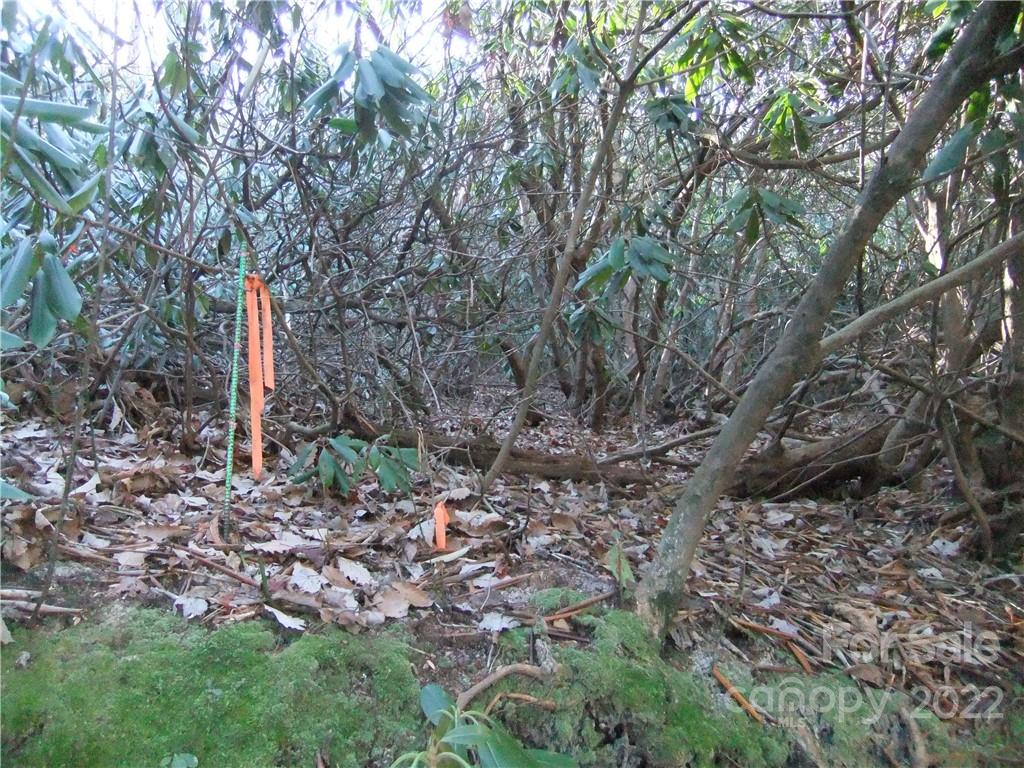 5 Old Mill Road Hendersonville, NC 28792 - Photo 18 of 35 a flag is sitting in the middle of forest