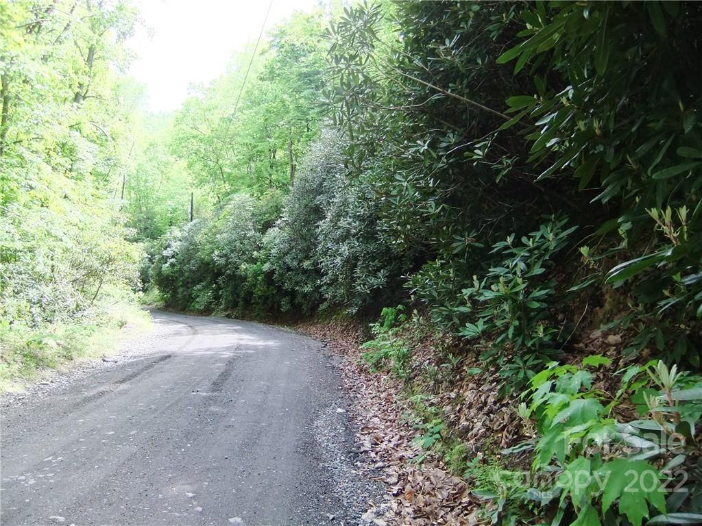 5 Old Mill Road Hendersonville, NC 28792 - Photo 2 of 35 a view of a forest with trees