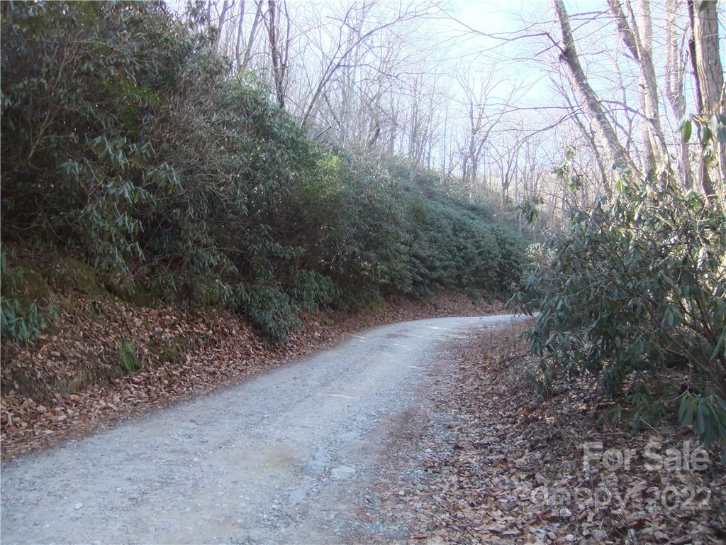 5 Old Mill Road Hendersonville, NC 28792 - Photo 21 of 35 a view of a forest with trees in the background