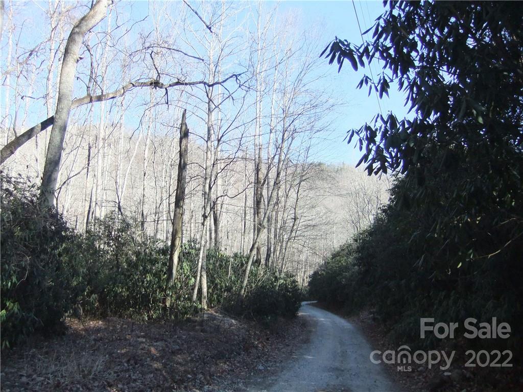 5 Old Mill Road Hendersonville, NC 28792 - Photo 22 of 35 a view of backyard with green space