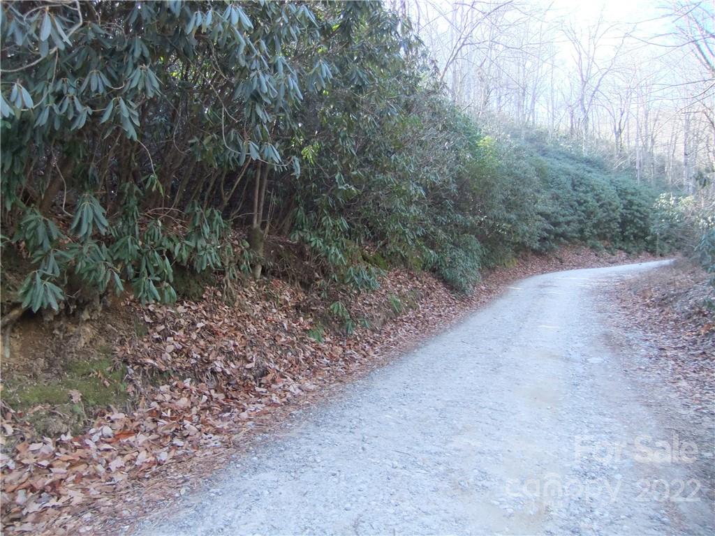 5 Old Mill Road Hendersonville, NC 28792 - Photo 23 of 35 a view of a yard with a tree