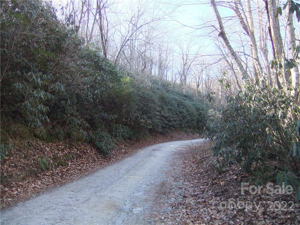 5 Old Mill Road Hendersonville, NC 28792 - Photo 24 of 35 a view of outdoor space and a yard