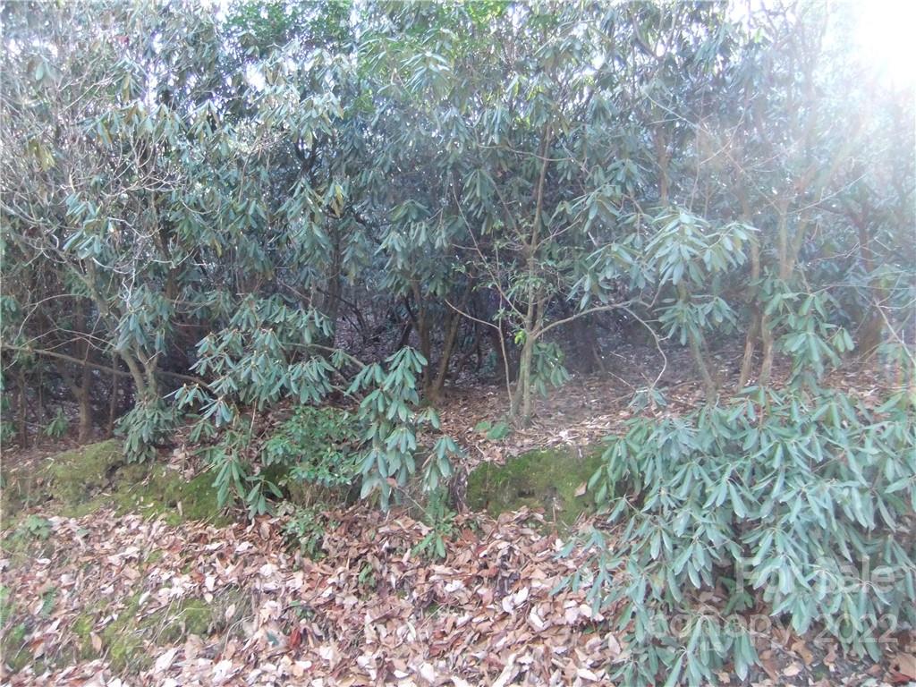 5 Old Mill Road Hendersonville, NC 28792 - Photo 25 of 35 a backyard of a house