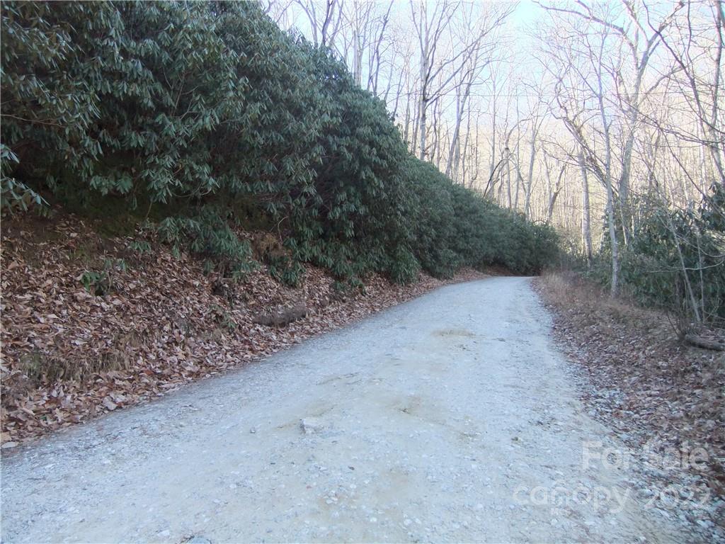 5 Old Mill Road Hendersonville, NC 28792 - Photo 26 of 35 a view of a forest with trees in the background