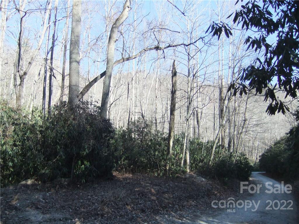 5 Old Mill Road Hendersonville, NC 28792 - Photo 28 of 35 a view of a forest