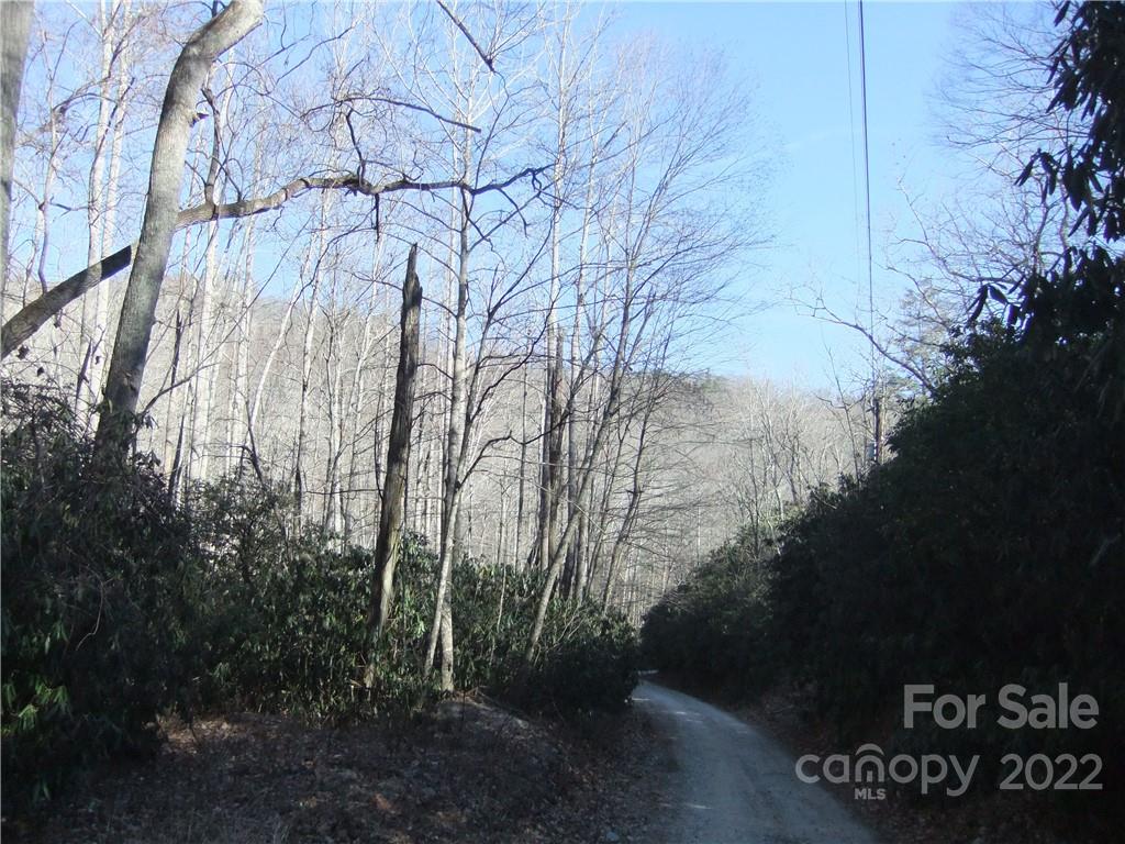5 Old Mill Road Hendersonville, NC 28792 - Photo 29 of 35