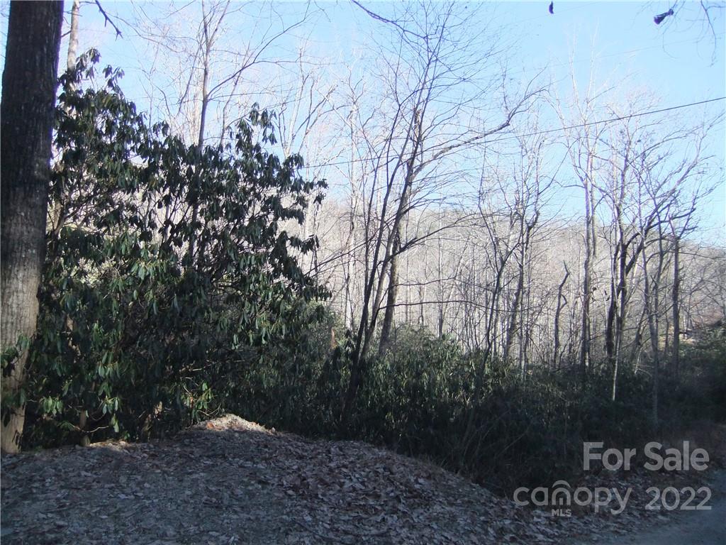 5 Old Mill Road Hendersonville, NC 28792 - Photo 30 of 35 a backyard of a house with lots of green space