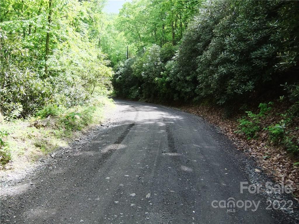 5 Old Mill Road Hendersonville, NC 28792 - Photo 3 of 35 a view of a yard with plants and a trees