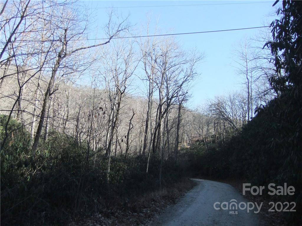 5 Old Mill Road Hendersonville, NC 28792 - Photo 31 of 35 a view of a street