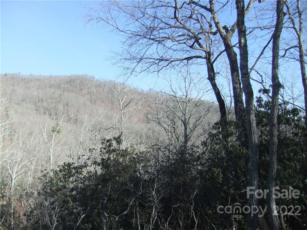 5 Old Mill Road Hendersonville, NC 28792 - Photo 33 of 35 a view of mountain view with trees