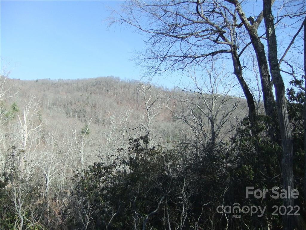 5 Old Mill Road Hendersonville, NC 28792 - Photo 34 of 35 a view of a forest with a mountain in the background