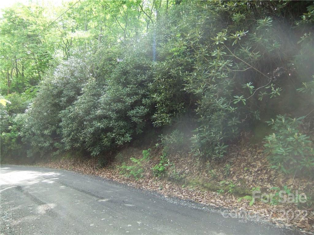 5 Old Mill Road Hendersonville, NC 28792 - Photo 4 of 35 a view of a yard with a tree