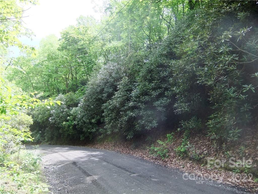 5 Old Mill Road Hendersonville, NC 28792 - Photo 5 of 35 a view of a forest with trees in the background